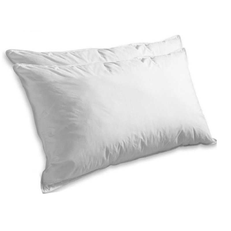 ELEGANT COMFORT Super Soft Luxurious Goose Feathers Pillow & Reviews Wayfair